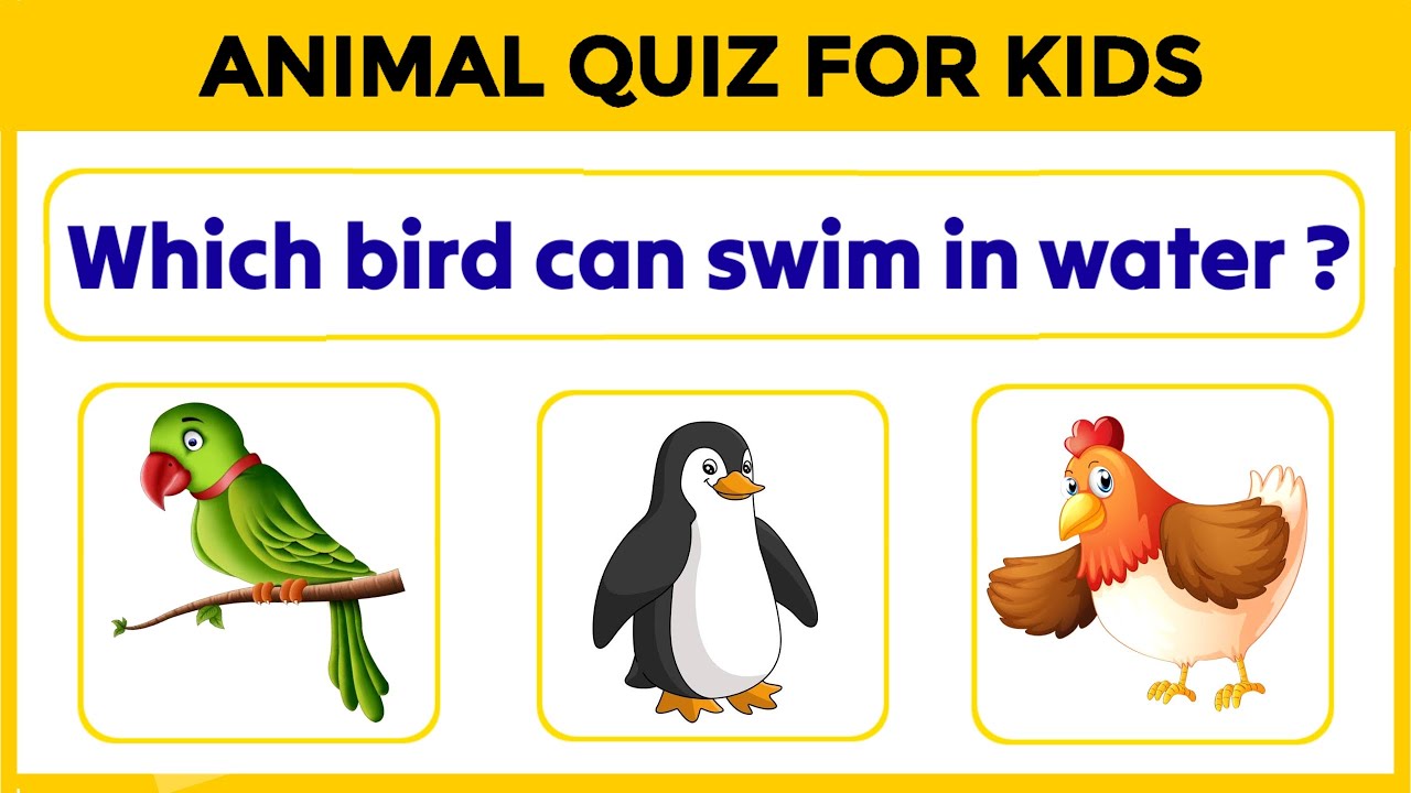 Animal Quiz | Quiz for kids | GK quiz | GK quiz for kids | Educational video for kids | #animals