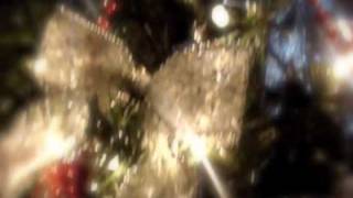 The Christmas Spirit!