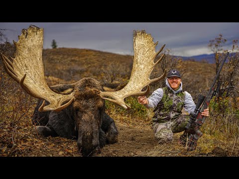 ONCE in a LIFETIME Utah Moose Hunt!