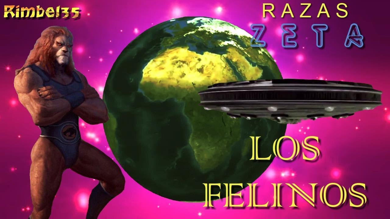 R A Z A S  Z E T A : LOS FELINOS - Cap. 6
