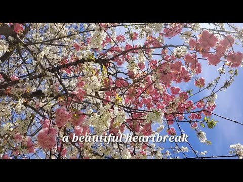 A Beautiful Heartbreak by Hilary Weeks (lyrics) #christianyoutuber