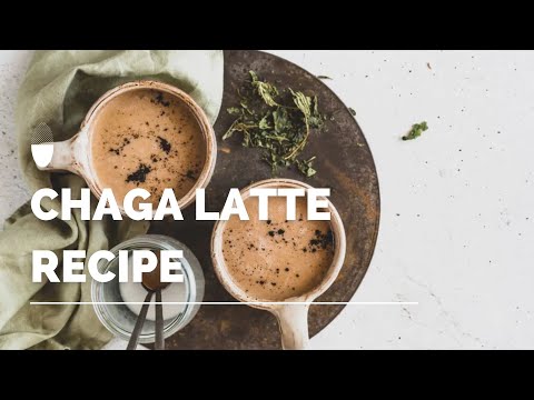 Soothing Chaga Mushroom Tea | Medicinal Mushrooms | How to Make Chaga Tea | Erbology