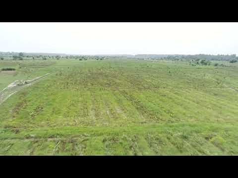 UGPP Planting 2024-25 Jhok RF