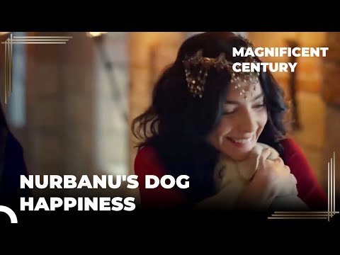 Nurbanu Got Selim's Approval | Magnificent Century