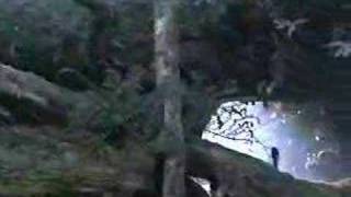 Jurassic  Argyle Park - Violence