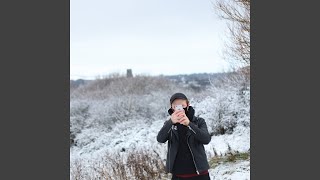 Cover art for Irreversible Motion