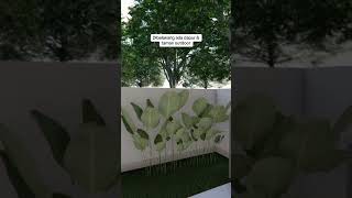 Download lagu Rumah minimalis 2 lantai 5x9 meter mp3