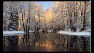 ReOrder & Six Senses - Dream Your Dreamer (Original Mix)