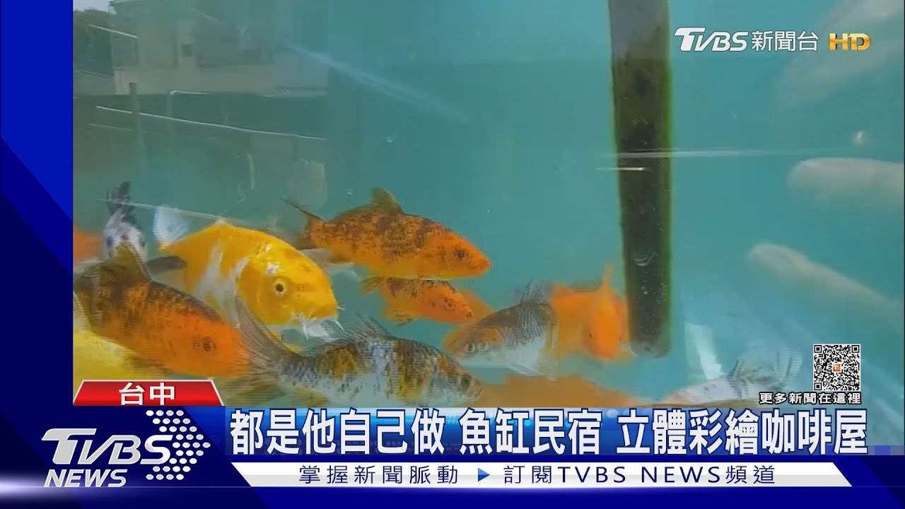 替老媽修屋改成水族箱浴室 變特色風景