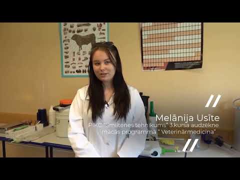 Smiltenes tehnikums.