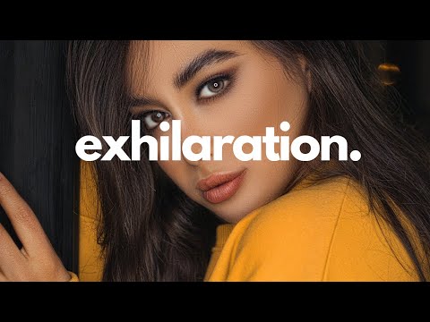 DeejaVu X Bayza - Feels [Visualizer]