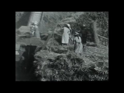 Trebbiatura in casa Poloni - Montefano 1958