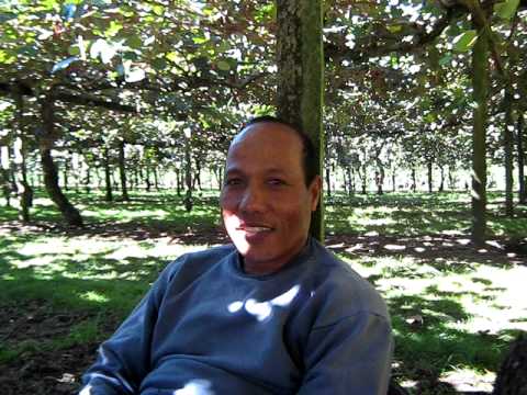 Tapaia from Nikunau (Kiribati)