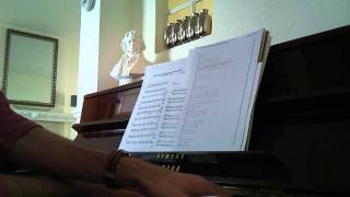 Does Not Suffice (Joanna Newsom Cover)