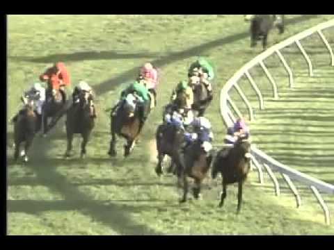 Pimlico 051912 Race 13