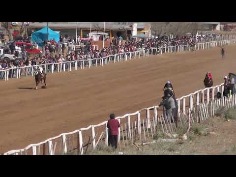 JOSECITO   Club Hipico Viento Sur   Cutral Co 04 09 2022