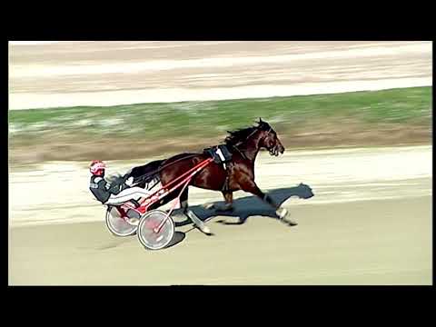 Trotto 20/12/2020 - 2ª prova di qualifica