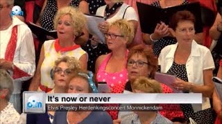 It&#39;s Now Or Never - Europe&#39;s largest Elvis Choir