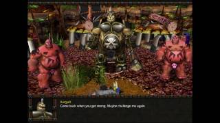 All the Allies - Let's Play Warcraft III Bonus Part 12