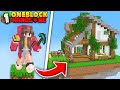 I Survived 100 Days On One Block in Minecraft (Hindi)