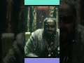 King Of Indian Hip Hop Full Screen WhatsApp Status