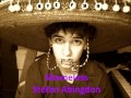 Shameless - Stefan Abingdon (Lyrics in ...