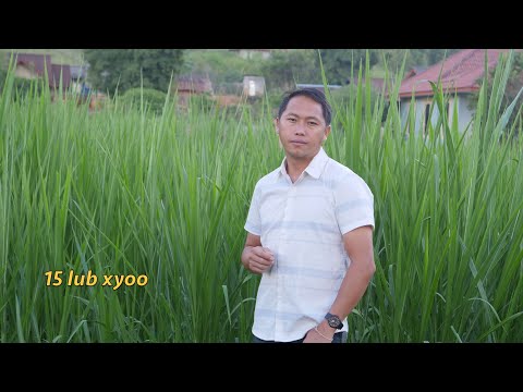 15 lub xyoos 9/23/2025