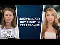 CBC ATTACKS the Conservatives for⌠wanting to protect election integrity?