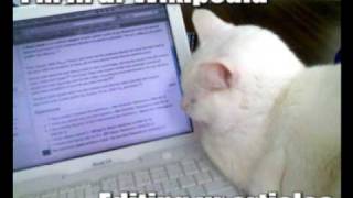 Shonen Knife - I Am A Cat