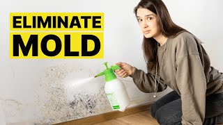 How to eliminate MOLD from your home