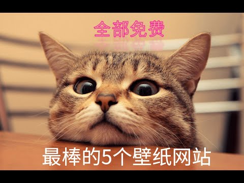 最棒的5个高清壁纸网站可以丰富你的手机屏幕色彩和电脑桌面风格，都是免费的。