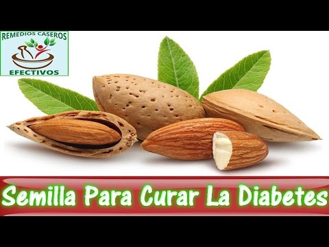 Qué hacer para un análisis de sangre para el azúcar era bueno Sierras eléctricas para los diabéticos