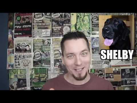 Talking Kitty Cat #67.5 - Sylvester Gets A Job (reupload)