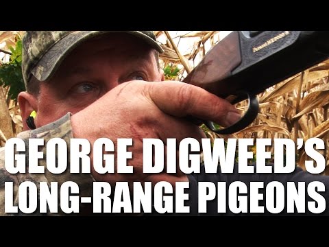 George Digweed shoots Long-Range Pigeons George Digweed shoots Long-Range Pigeons