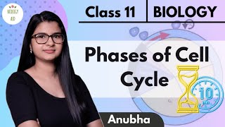 Class 11 || Cell Cycle & It's Phases (Under 10 Mins ! ⏳) || NCERT