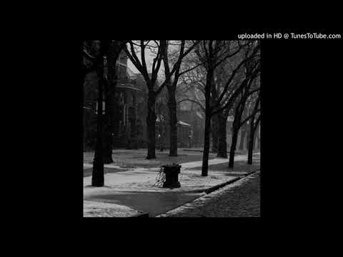 Altstadt Echo-Watch A Moth Drink Tears [SEMANTICA109]