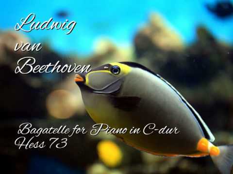Bagatelle for Piano in C-dur Hess 73 - Ludwig van Beethoven