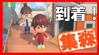 【あつ森島訪問】データ消去を乗り越えた先にこだわりの島があった！？
