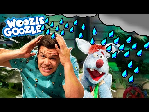 Warum heißt der Regenwald so? l WOOZLE GOOZLE