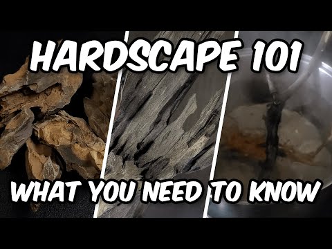 Aquarium Hardscape 101: Essential Insights!