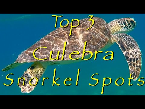 Culebra Top Three Snorkeling Beaches #snorkeling #travel