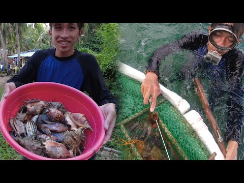 SE02EP019 - MASAYANG PANINIBAT sa NAPAKA GANDANG KARAGATAN ng ISLA GRANDE (Ocean to PLATE) Pagbilao