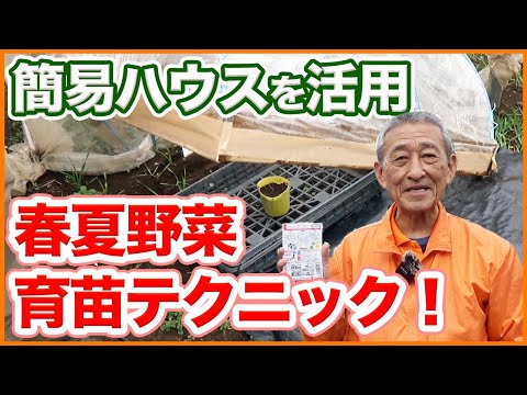 1月に温室に何を播種しますか？欠かせない野菜と花  庭園