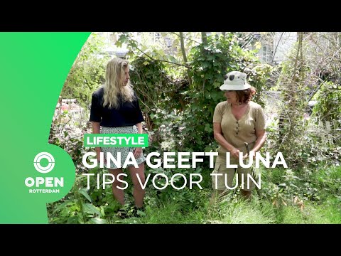 Luna uit Hillegersberg-Schiebroek heeft volgens Gina een echte 'horror'-tuin | LIFESTYLE
