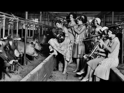 Video thumbnail e9l_wDUE1T8