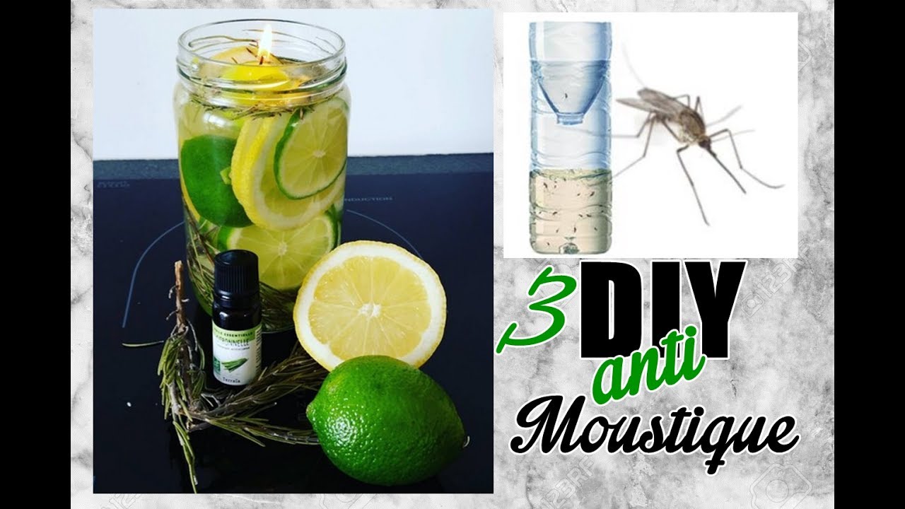 DIY : 3 recettes naturelles anti-moustique