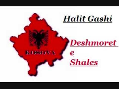 Halit Gashi-Deshmoret e Shales