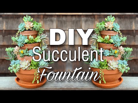 ⛲️ DIY Succulent Fountain ⛲️