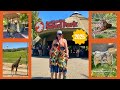 WILD SAFARI DAY At San Diego Zoo Safari Park African Tram Ride Journey Into The Wild A PLATYPUS