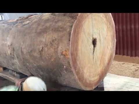 Kinh nghiệm chọn gỗ lim nam phi đẹp, mỏng giác, tròn gỗ, - Xưởng chế biến gỗ Anh Công